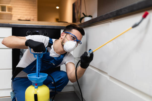 Best Emergency Pest Control  in Caon City, CO