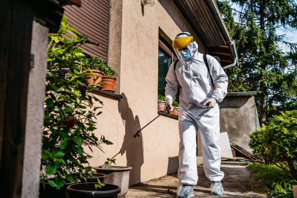 Best Best Pest Control Companies  in Caon City, CO