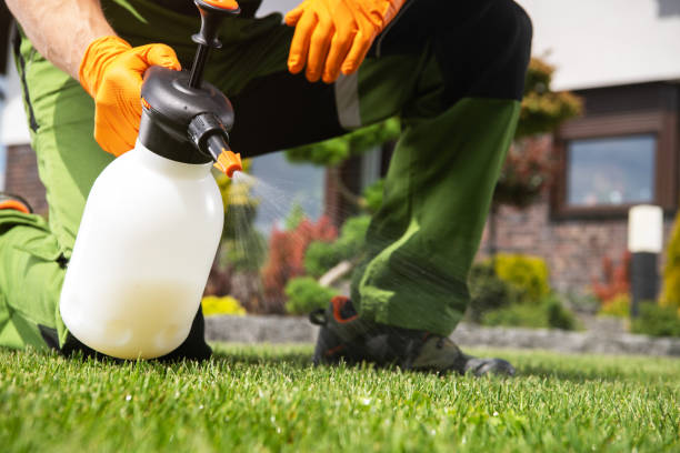 Best Pest Prevention Services  in Caon City, CO