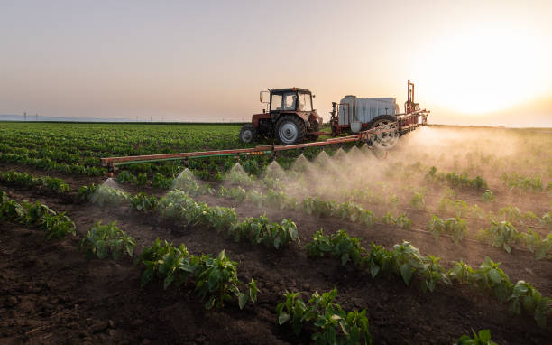 Best Commercial Pest Control Services  in Caon City, CO