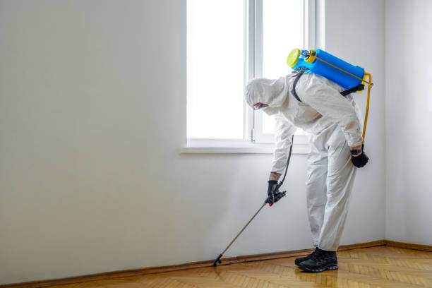 Best Exterminator Services  in Caon City, CO