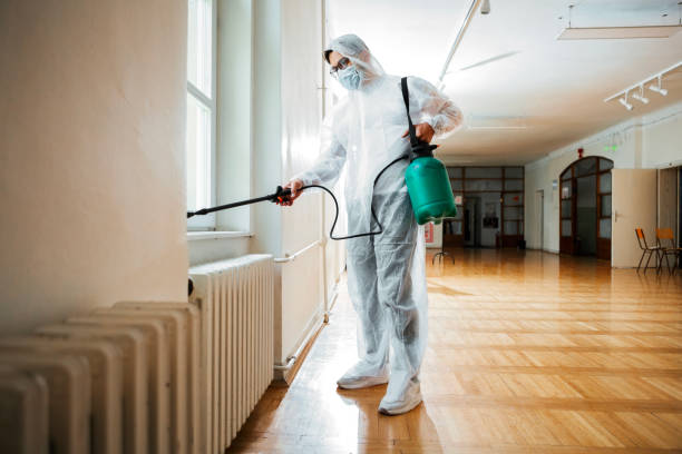 Best Flea Control Services  in Caon City, CO